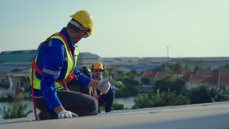 Best Roof Replacement  in Alamo, TX