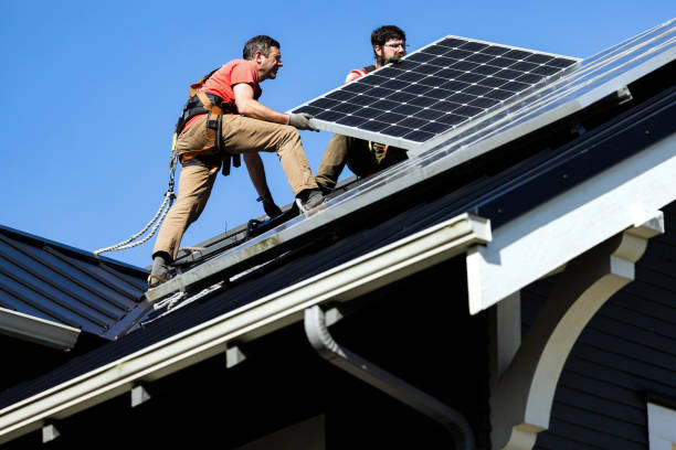 Best Metal Roofing Installation  in Alamo, TX
