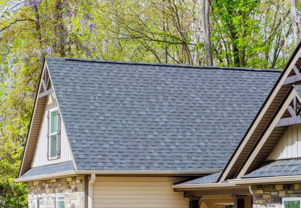 Best Storm Damage Roof Repair  in Alamo, TX